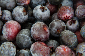 Ripe blueberries are blue-purple in color.Macrophotography of a large number of blueberries. Useful berry