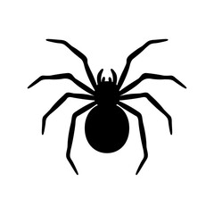 silhouette of a spider hanging from a web Abandoned House Horror Ideas for Halloween