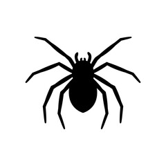 silhouette of a spider hanging from a web Abandoned House Horror Ideas for Halloween