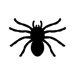 silhouette of a spider hanging from a web Abandoned House Horror Ideas for Halloween