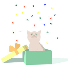 small kitten sits in a box and looks at multi-colored confetti