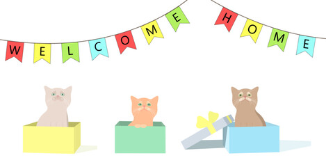three kittens sit in boxes and look at the flags with the text welcome home. banner
