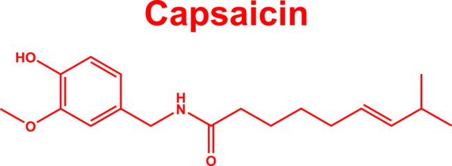 Fotobehang Capsaicin molecule hot chili peppers spice component. Red capsaicin chemical formula © Great Choice