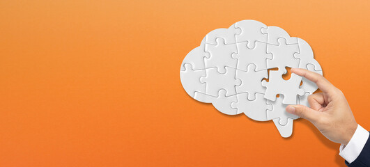 Connecting last brain puzzle piece. Complete the key idea.