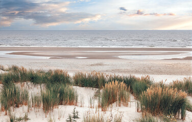 beach in the morning