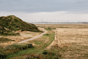 Fototapeta na wymiar dune landscape on the north sea beach