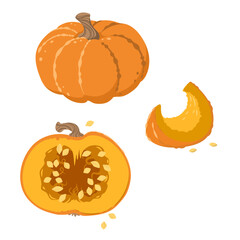 Vector illustration of a Pumpkin inside and out