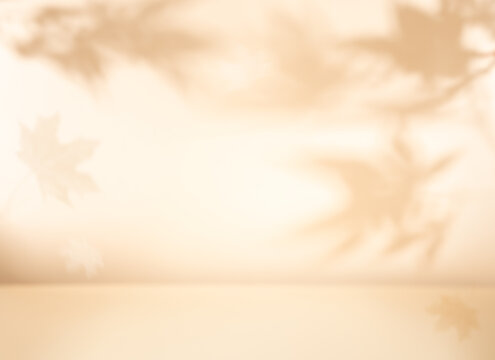 Autumn blurred background with shadow of the maple tree leaves on a wall. Abstract Autumnal scene.