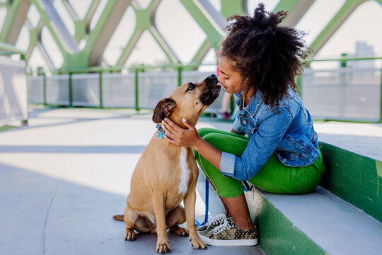 Multiracial girl sitting and resting with her dog outside in the bridge, training him, spending leisure time together. Concept of relationship between dog and teenager, everyday life with pet.