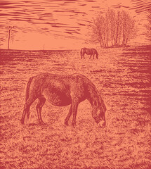Landscape With Two Horses In The Pasture. Linocut style. Vector Illustration.