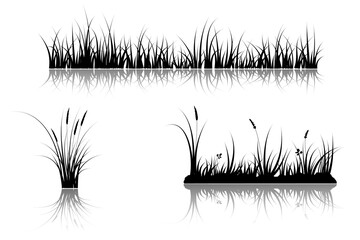 Fototapeta premium grass reflection. lake grass