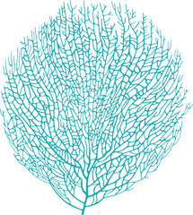 Gorgonian seaweed blue bushy soft coral isolated - obrazy, fototapety, plakaty
