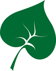 Bio plant isolated green growing leaf