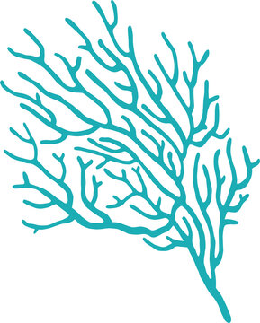 Sea Blue Fan-coral Isolated Vector Soft Anemone