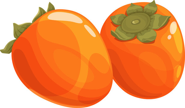 Jiro, Fuyo Hachiya persimmon isolated food dessert