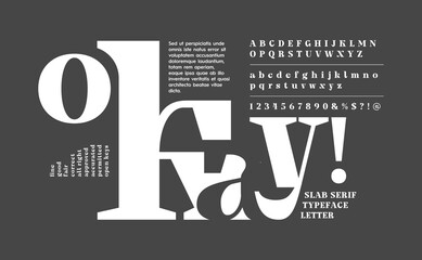 Abstract typography poster. Black white letters and numbers set.  Creative urban fashion timeless font. vector illustration of alphabet serif typeface © Haqqani Slab