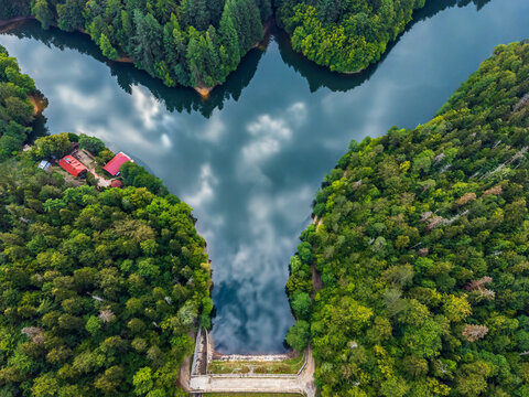 Flight over Buhui lake, Romania