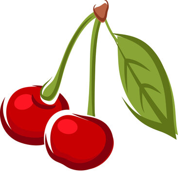 Red Stone Fruit Cherry Isolated Vector Ripe Berry