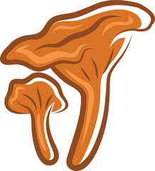 Edible fungus isolated Chanterelle mushroom