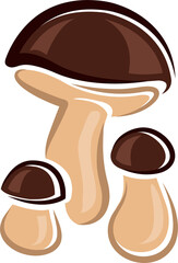 Edible mushroom isolated boletus with brown cap