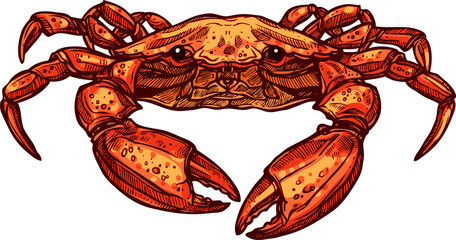 Hand drawn crab sketch isolated marine animal - obrazy, fototapety, plakaty