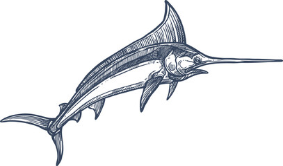Swordfish isolated broadbills needlefish sketch - obrazy, fototapety, plakaty