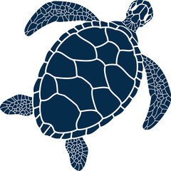 Marine turtle, isolated nautical tortoise animal