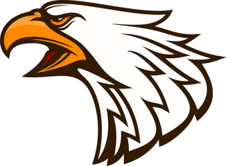 Bald eagle head side view isolated bird mascot