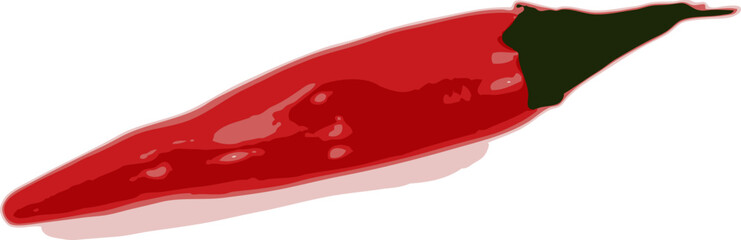 one chili pepper on a white background. vector art.