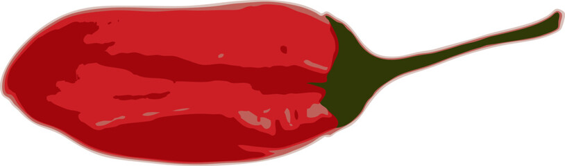 one chili pepper on a white background. vector art.