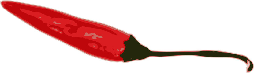 one chili pepper on a white background. vector art.