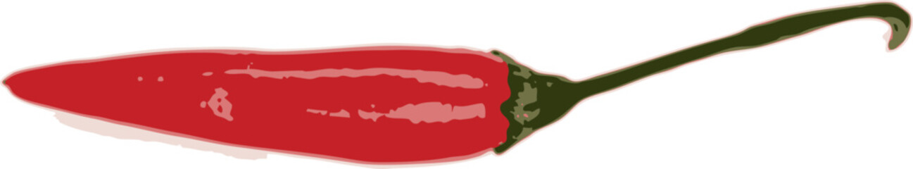 one chili pepper on a white background. vector art.