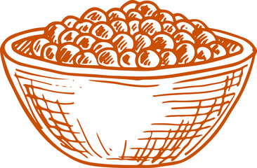 Pepper allspices in bowl vector isolated sketch