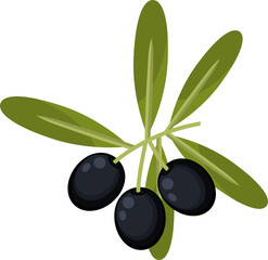 Black live fruits twig with leaves isolated plant