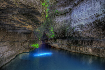 Roaring River Spring Roaring Rivers State Park  Cassville Missouri  Emerging from the base of a...