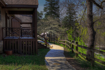 Trail to the Cabins Roaring Rivers State Park  Cassville Missouri  Devils’s Kitchen Loop Trail along the bluffs above Roaring Rivers Spring passes by some CCC constructed cabins.  