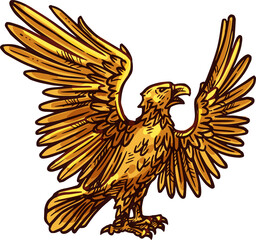 Heraldic golden eagle, flacon bird heraldry