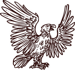 Heraldic eagle, bird heraldry sketch icon
