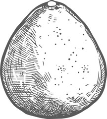 Whole pomelo tropical exotic fruit isolated sketch