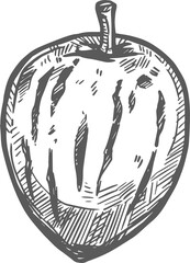 Melon pear, pepino fruit isolated pepino-dulce