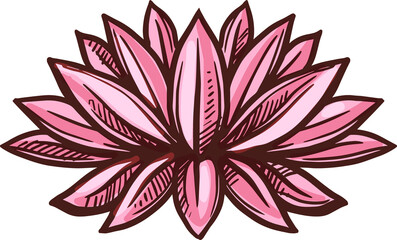 Lotus, Buddhism religion and meditation symbol
