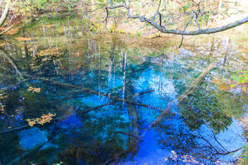 神聖な神の子池「秋の北海道」