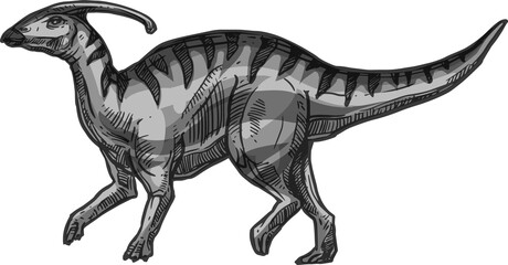 Fototapeta premium Dinosaur parasaurolophus isolated extinct animal sketch.