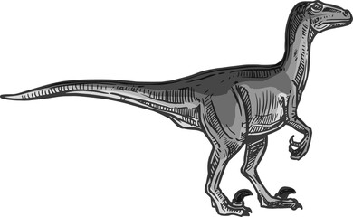 Tyrannosaurus T-rex isolated gray dinosaur dino