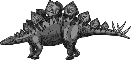 Gray stegosaurus lizard animal isolate dinosaur © Vector Tradition
