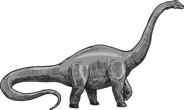 ?inosaur with huge tail isolated brontosaurus dino