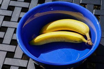 bananas in a blue bowl blue background