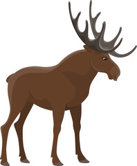 Elk animal, hunt and zoo wild moose