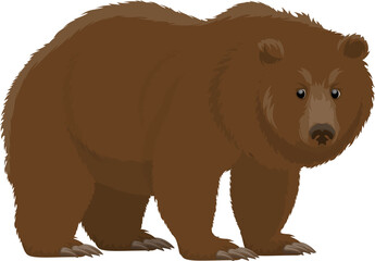 Fototapeta na wymiar Brown bear, hunt and zoo wild animal