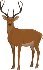 Naklejka na ściany i meble Deer wild animal, hunt and zoo reindeer